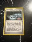 Mysterious Fossil