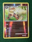 Arcanine