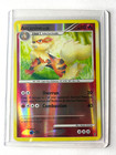 Arcanine