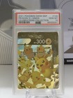 Pikachu V Union