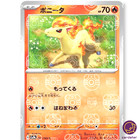 Ponyta