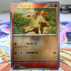 Ponyta