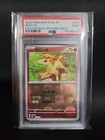 Ponyta