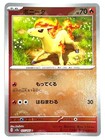 Ponyta