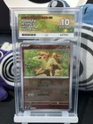 Ponyta