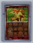 Ponyta