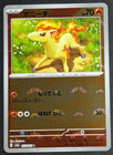 Ponyta