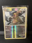 Ursaring