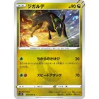 Zygarde