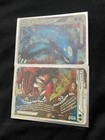 Kyogre & Groudon LEGEND