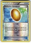 Old Amber Aerodactyl