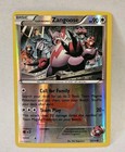 Team Magma's Zangoose