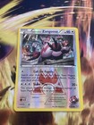 Team Magma's Zangoose