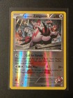 Team Magma's Zangoose