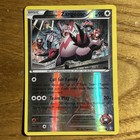 Team Magma's Zangoose