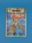 Misty's Determination