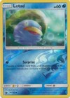 Lotad