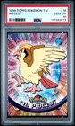 Pidgeot