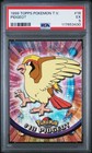Pidgeot