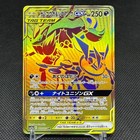 Greninja & Zoroark GX