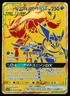 Greninja & Zoroark GX