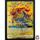 Greninja & Zoroark GX