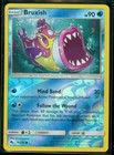 Bruxish