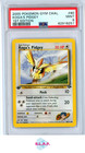Koga's Pidgey