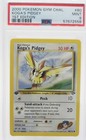 Koga's Pidgey