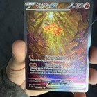 Chi-Yu ex