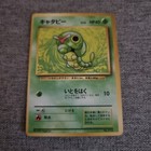 Caterpie