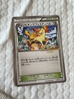 Champion's Festival [World Champions 2016] 