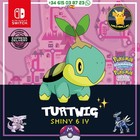 Turtwig