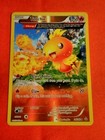 Torchic