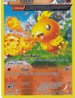Torchic