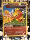 Torchic