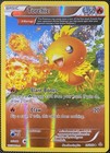 Torchic