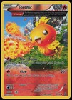 Torchic