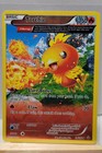 Torchic