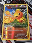 Torchic
