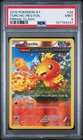 Torchic
