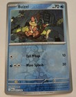 Buizel