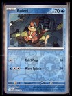 Buizel