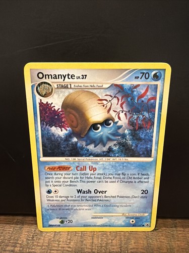 Omanyte