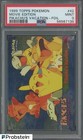 Pikachu's Vacation