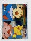Pikachu's Vacation