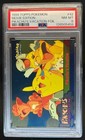 Pikachu's Vacation
