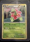Meganium