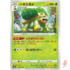 Bidoof