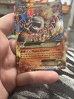 Mega Camerupt EX